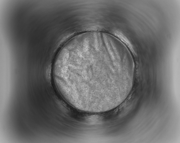 X0000096960058200802221350