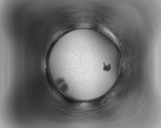 X0000096960059200802221350