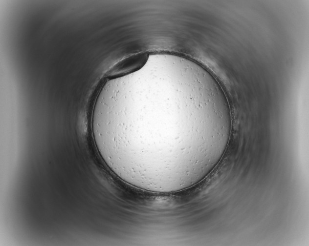 X0000096960060200802221350