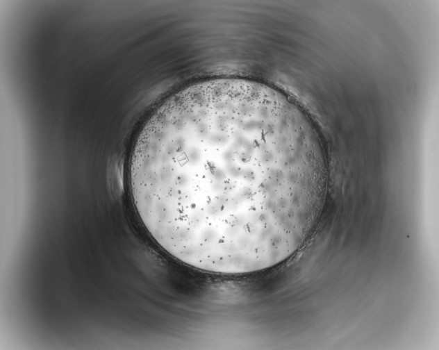 X0000096960062200802221350