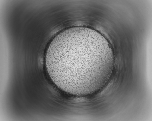 X0000096960063200802221350