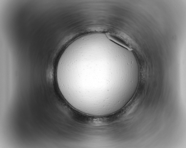 X0000096960064200802221350