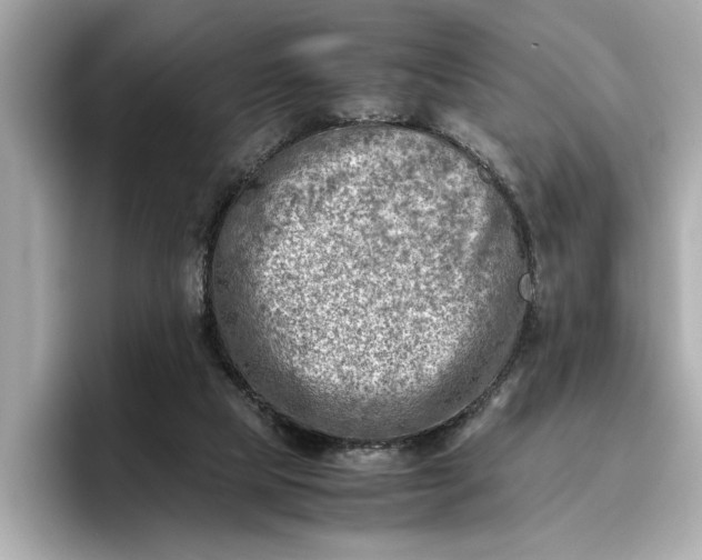 X0000096960065200802221350