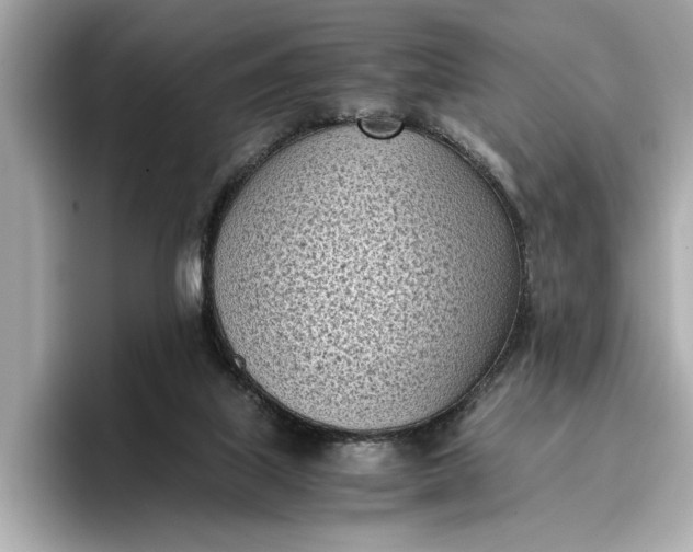 X0000096960067200802221350