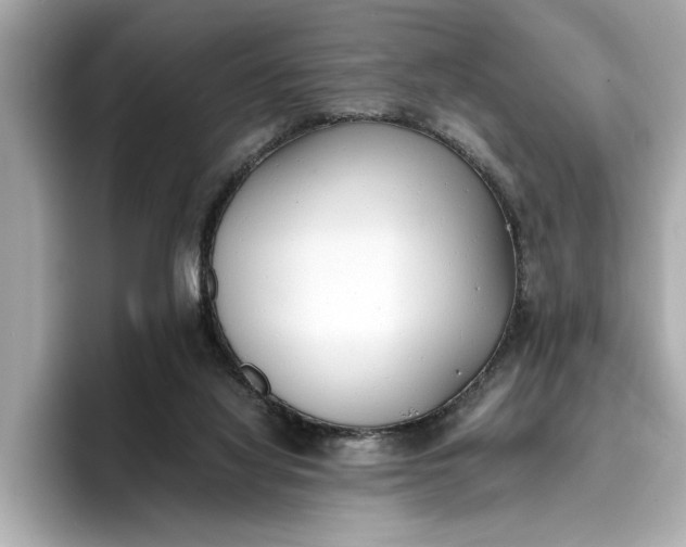 X0000096960068200802221350