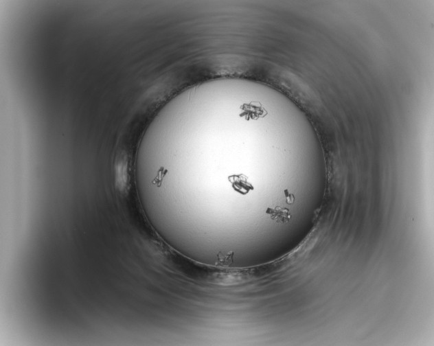 X0000096960074200802221350