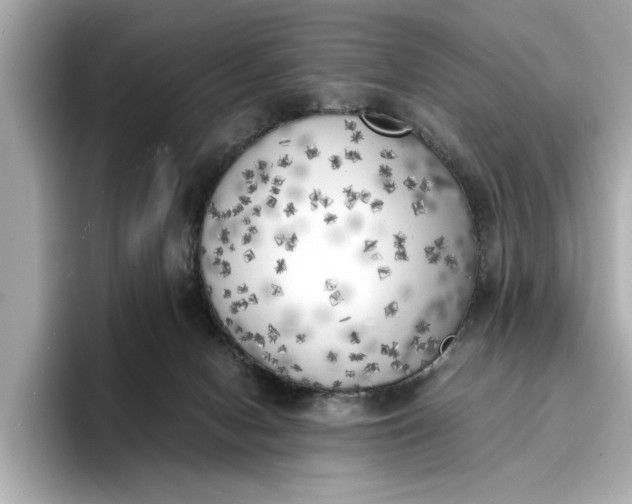 X0000096960078200802221350