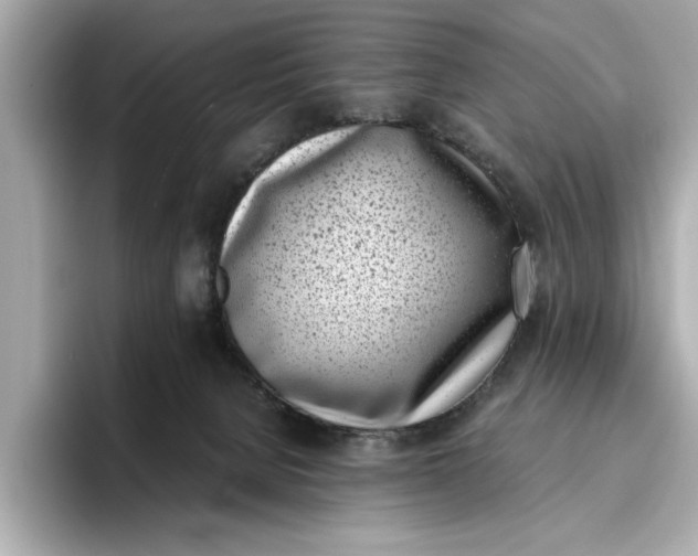 X0000096960080200802221351