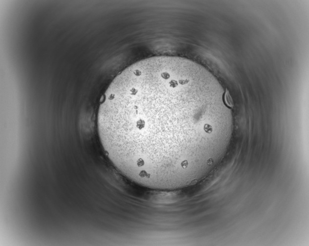 X0000096960081200802221351