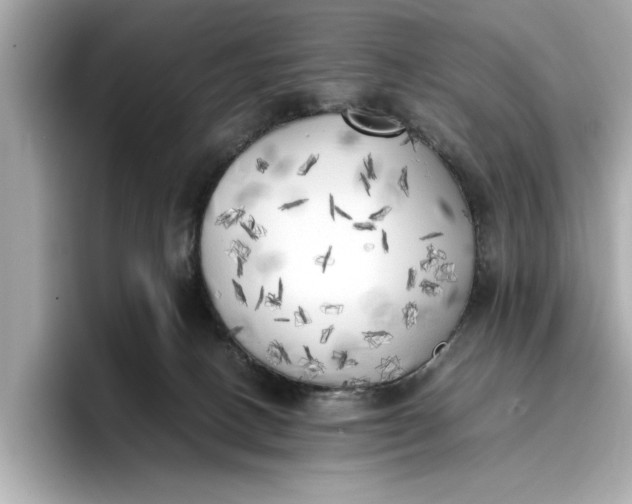 X0000096960082200802221351