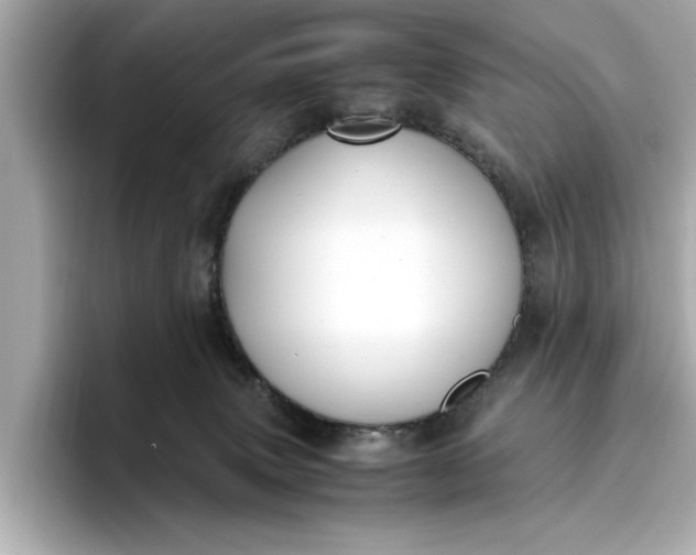 X0000096960083200802221351