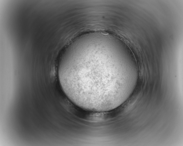 X0000096960084200802221351