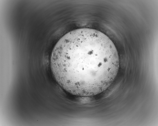 X0000096960085200802221351