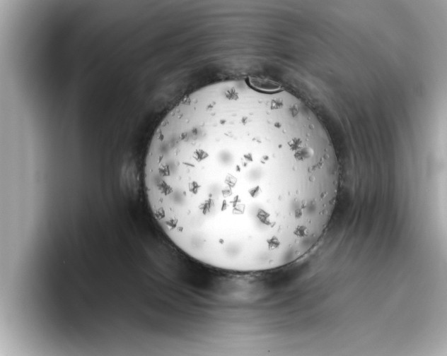 X0000096960086200802221351