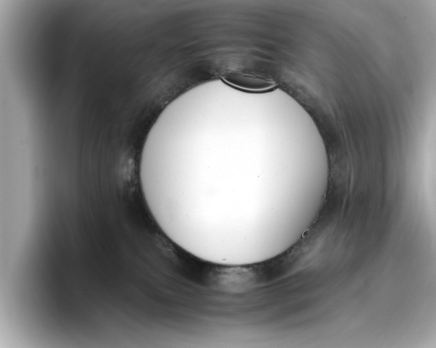 X0000096960087200802221351