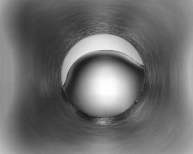 X0000096960088200802221351