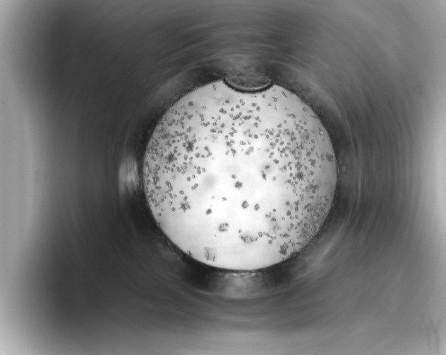 X0000096960089200802221351