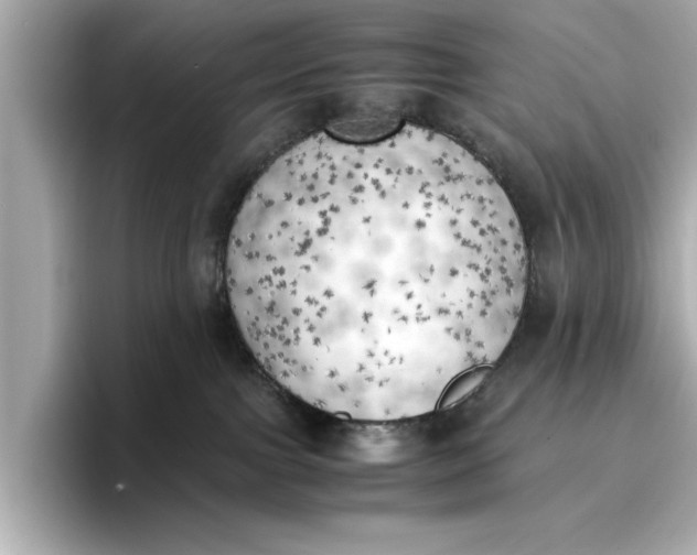 X0000096960091200802221351