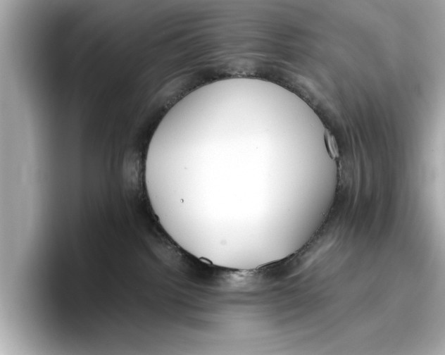 X0000096960092200802221351