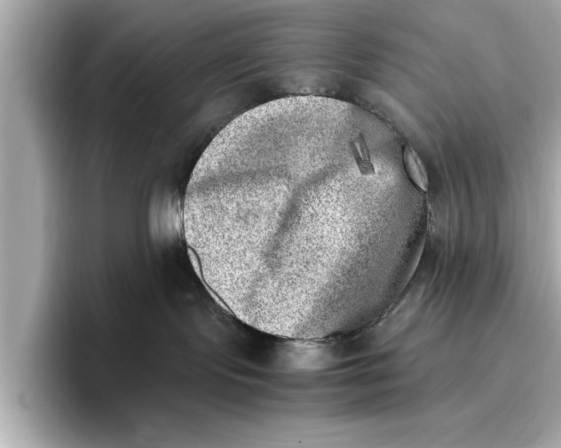 X0000096960095200802221351