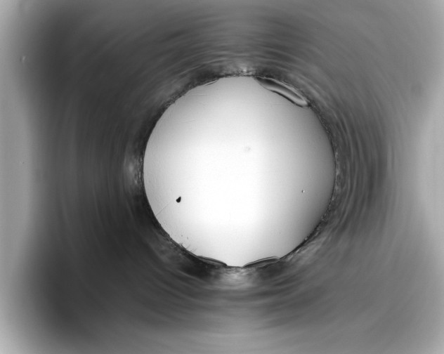 X0000096960096200802221351