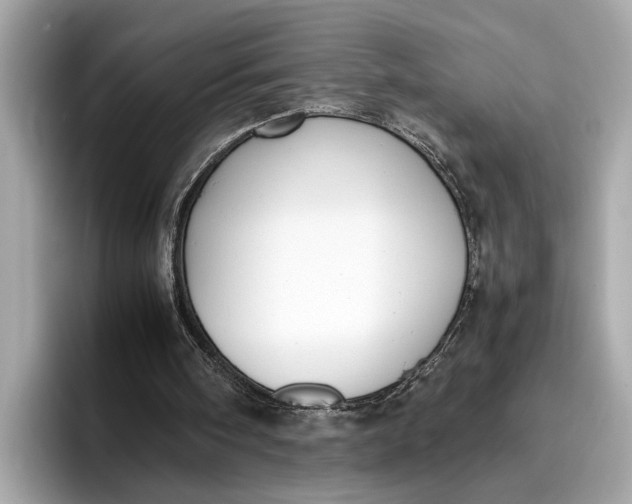 X0000096960098200802221350