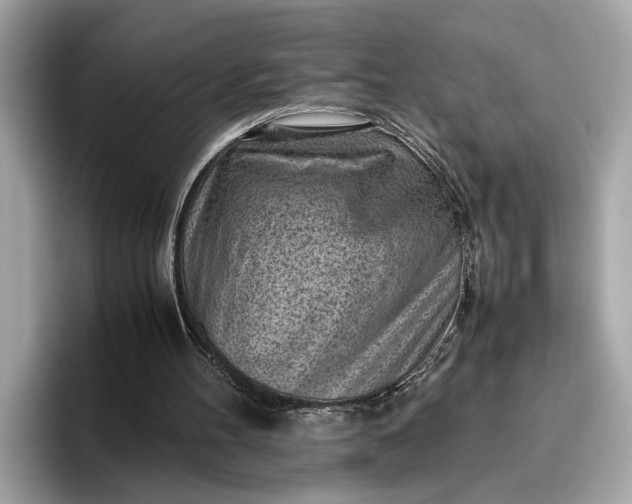 X0000096960100200802221350