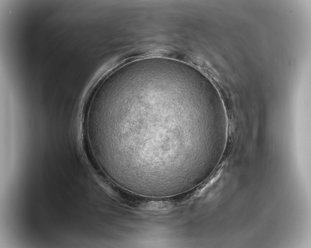 X0000096960101200802221350