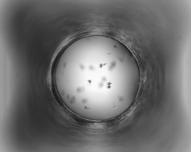 X0000096960102200802221350