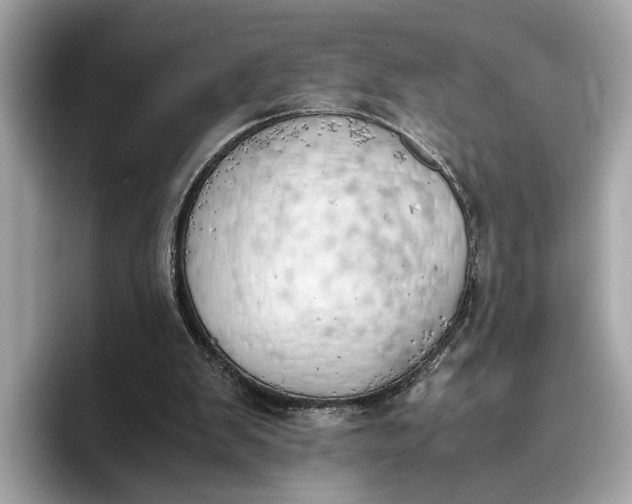 X0000096960103200802221350