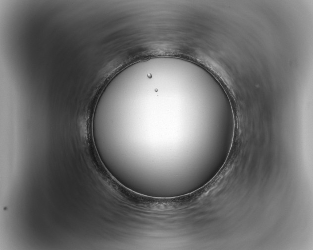 X0000096960105200802221350