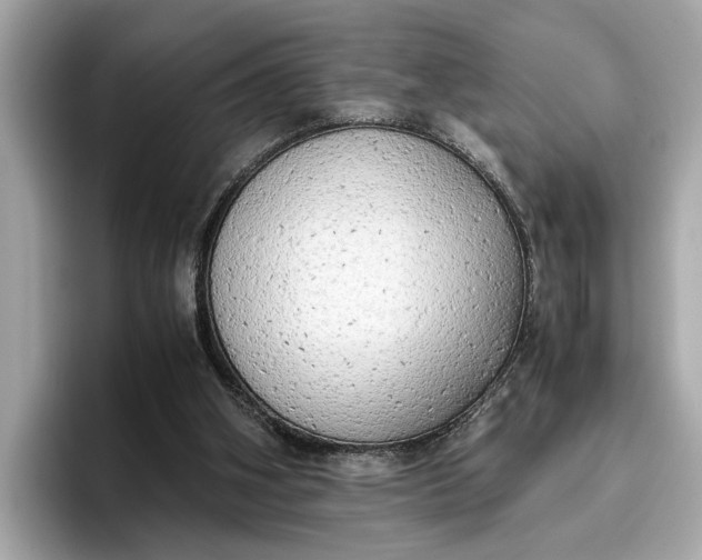 X0000096960106200802221350