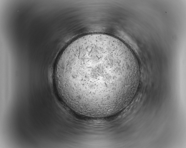 X0000096960107200802221350