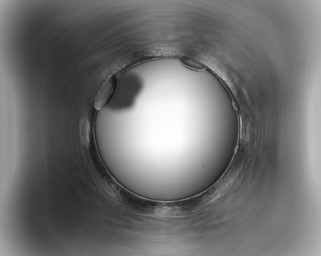 X0000096960109200802221350