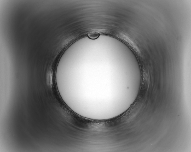 X0000096960110200802221350