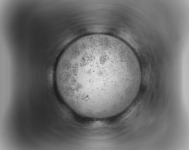 X0000096960111200802221350