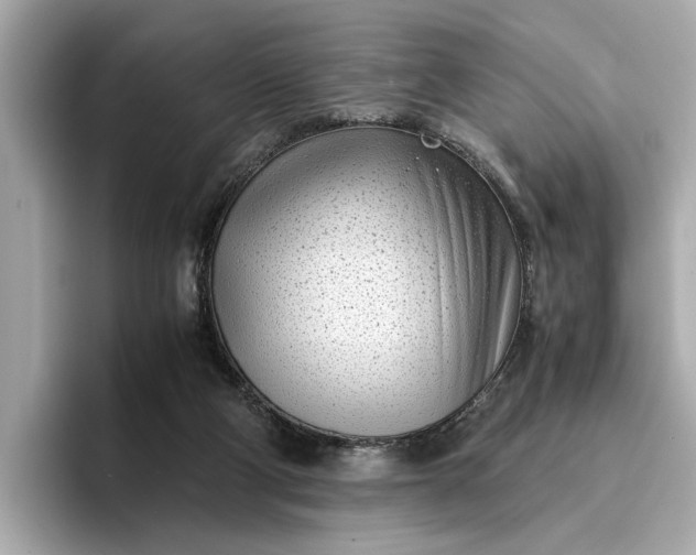 X0000096960114200802221350