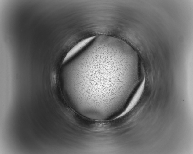 X0000096960117200802221350