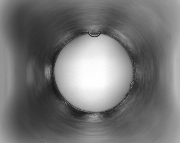 X0000096960118200802221350