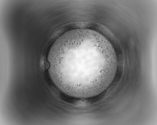 X0000096960119200802221350