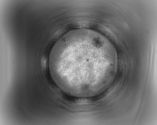 X0000096960123200802221350