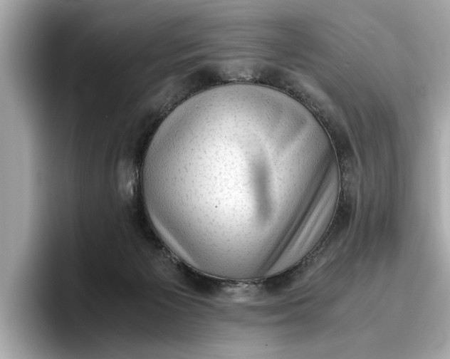 X0000096960125200802221350