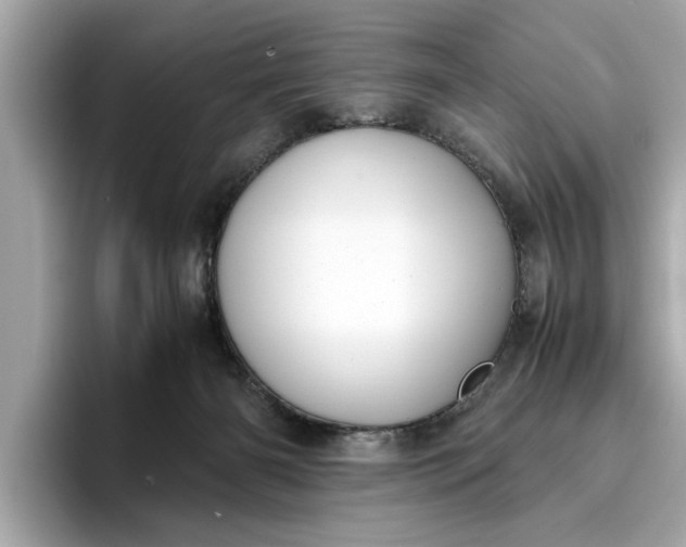 X0000096960126200802221350