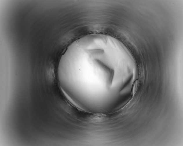 X0000096960128200802221350