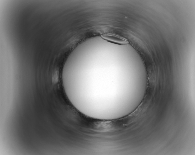 X0000096960132200802221350