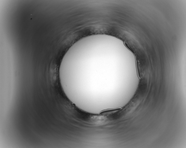 X0000096960133200802221350