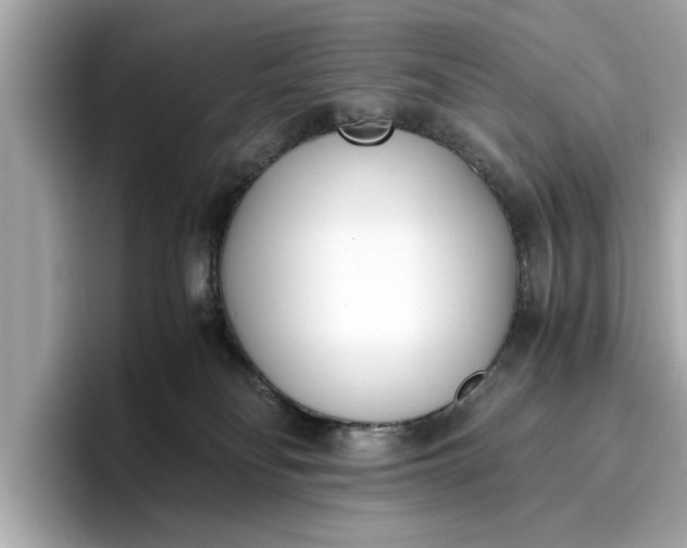 X0000096960134200802221350