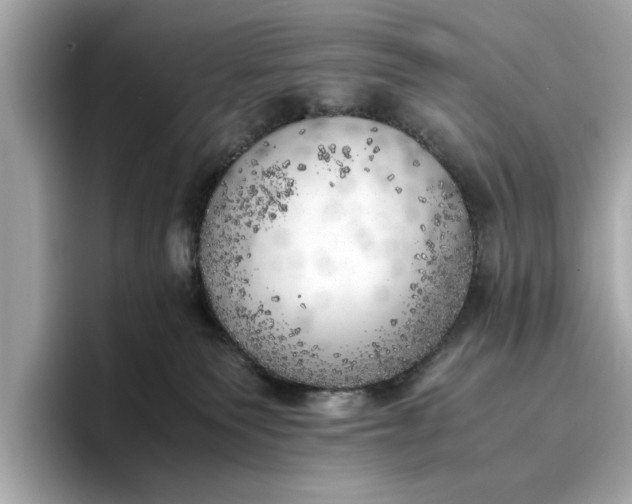 X0000096960135200802221350