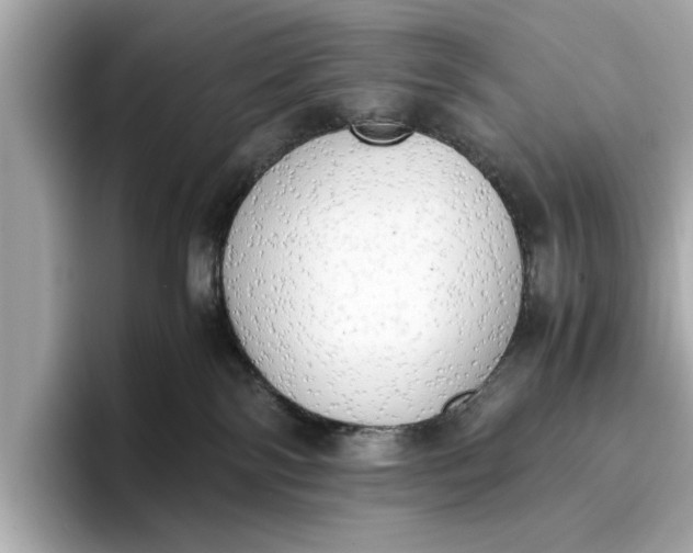 X0000096960138200802221350