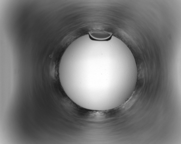 X0000096960140200802221350